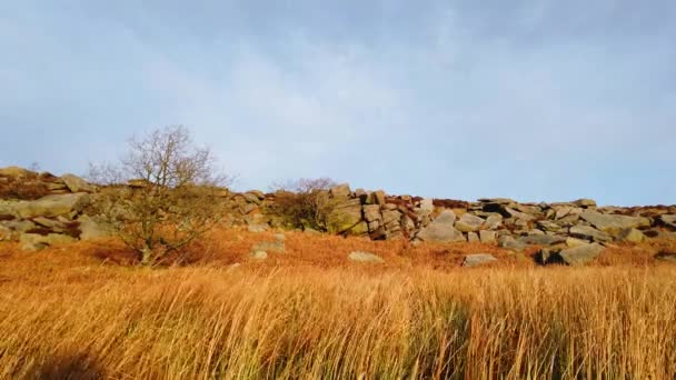 Övre Burbage på Peak District National Park i England — Stockvideo