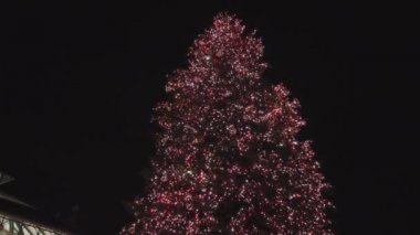Renkli Noel ağacı gece