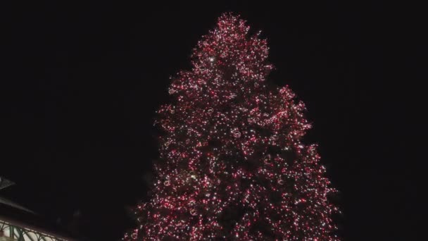 Kleurrijke kerstboom bij nacht — Stockvideo