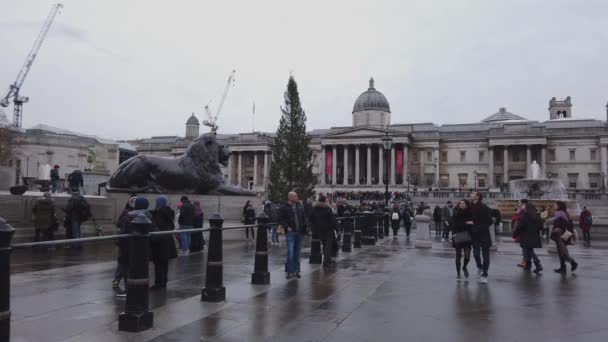 伦敦国家美术馆的热门特拉法加广场--英国伦敦-2018年12月16日 — 图库视频影像