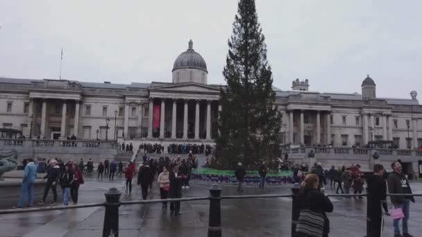 伦敦国家美术馆的热门特拉法加广场--英国伦敦-2018年12月16日 — 图库视频影像