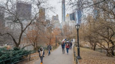 Central Park New York - New York, ABD - Decembe ile yürüyüş