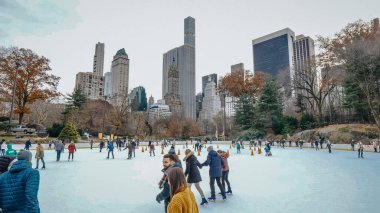 Central Park New York - New York, ABD - pistinde 4 Aralık buz,