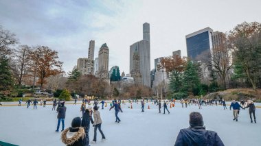 Central Park New York - New York, ABD - pistinde 4 Aralık buz,