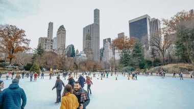 Central Park New York - New York, ABD - pistinde 4 Aralık buz,