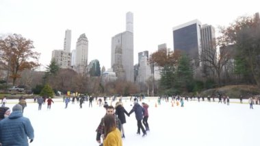 Central Park New York, buz pateni pisti