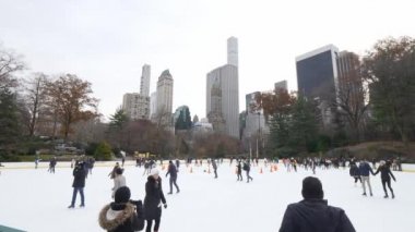 Central Park New York, buz pateni pisti