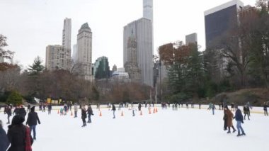 Central Park buz pateni pisti Noel zamanda