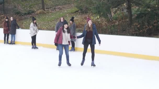 Eisbahn am Central Park New York — Stockvideo