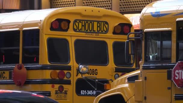 Autobuses escolares en Nueva York — Vídeos de Stock