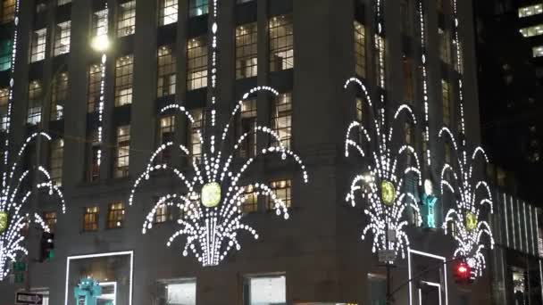 뉴욕의 거리에서 크리스마스 장식 — 비디오