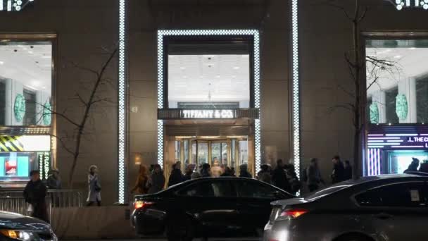 Biżuteria Tiffany i Co w Fifth Avenue w Nowym Jorku — Wideo stockowe