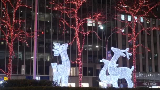 Krásná vánoční dekorace v ulicích Manhattanu — Stock video