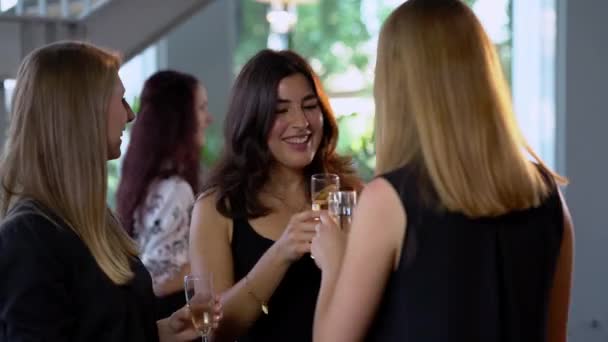 Escena típica de la fiesta: hermosas chicas beben champán y se divierten — Vídeo de stock