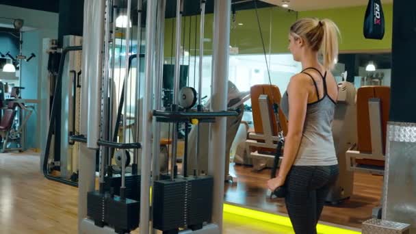 Chica en un gimnasio - entrenamiento de fitness — Vídeos de Stock