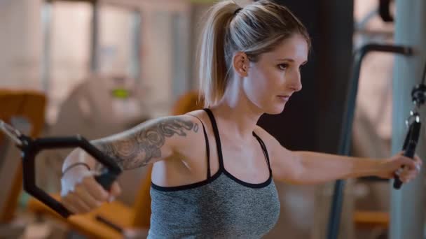 Sport dans une salle de fitness - formation du corps dans la salle de gym — Video