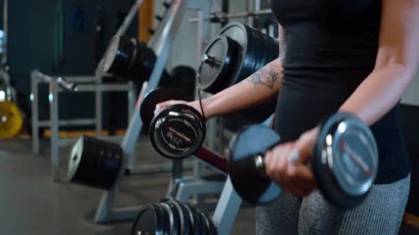 Chica joven y sexy en un gimnasio - entrenamiento de barra — Vídeo de stock