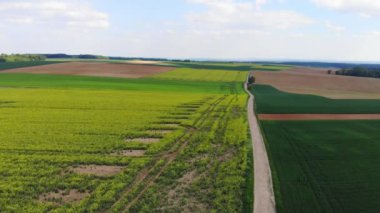 Güzel otlakların ve ülke manzara yukarıdan - hava uçuş görüntüleri