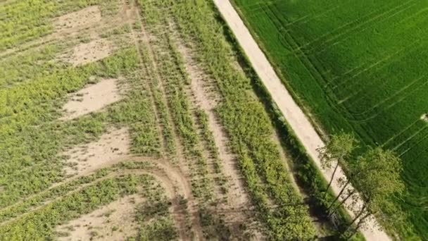 Voo sobre uma fazenda no campo - grande vista aérea sobre os campos — Vídeo de Stock