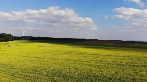 Volo su un campo di stupro nel paese - bel filmato aereo — Video Stock