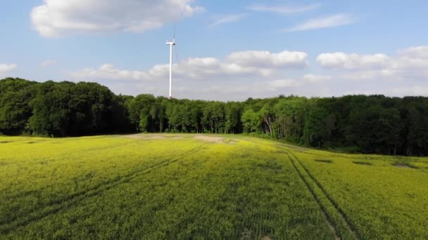 Geweldige luchtfoto vlucht over velden in het land — Stockvideo