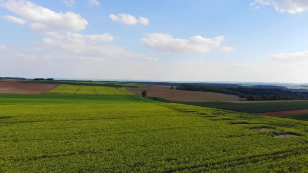 Vlucht over een rapefield in het land - mooie luchtfoto beeldmateriaal — Stockvideo