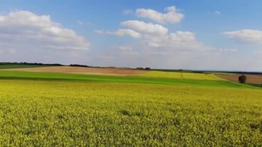 Güzel doğa - drone uçuş ilkbaharda çiçek açan alanları üzerinde