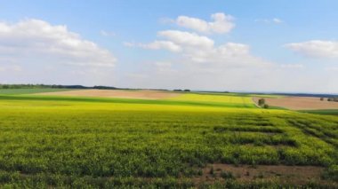 Bir rapefield ülkede - güzel havadan görüntüleri üzerinde uçuş