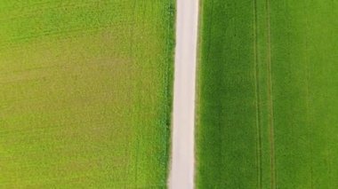 Otlaklar ve ülke alanları yukarıdan - hava drone uçuş
