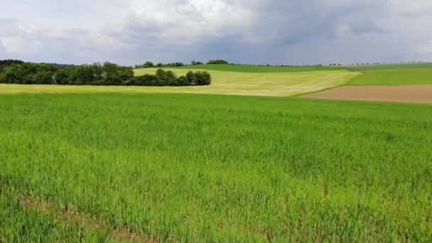 La belleza de la Naturaleza desde arriba - vuelo aéreo sobre amplios campos en el país — Vídeo de stock