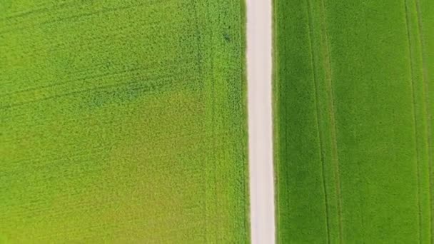 Pastizales y campos de campo desde arriba - vuelo aéreo con drones — Vídeos de Stock