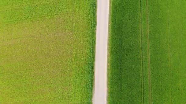 Łąki i pola kraj z góry - lot lotnicze drone — Wideo stockowe
