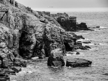 Milli güven - Cornwall İngiltere'nin güney noktasında kertenkele