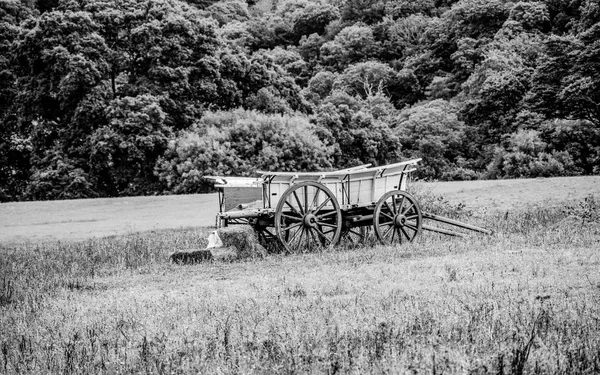 Staré kočáry na poli — Stock fotografie