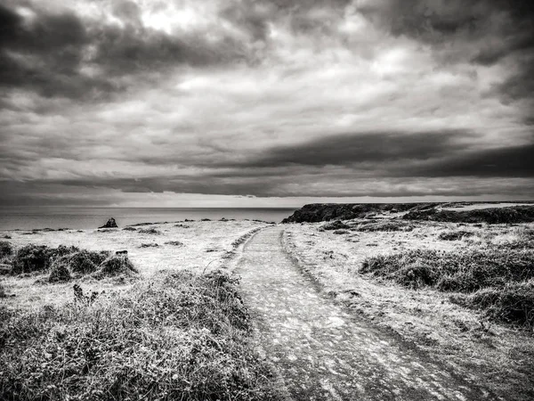 Cornwall kıyı şeridi boyunca güzel yürüyüş rotaları — Stok fotoğraf
