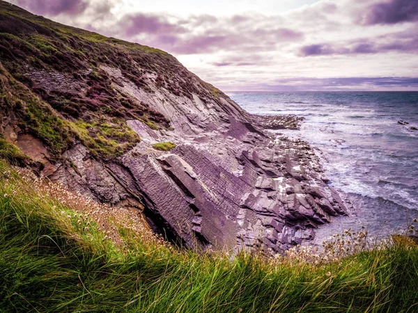 Belle scogliere e costa di Crackington Haven Cornovaglia — Foto Stock