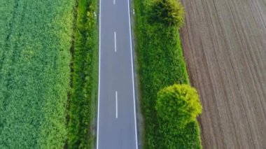 Hava drone uçuş doğada bir cadde üzerinde