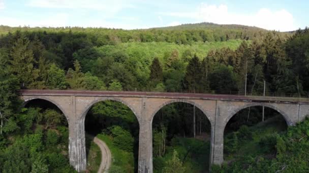 Pont ferroviaire dans les collines forestières - vue aérienne sur un vieux viaduc — Video
