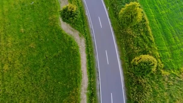 Luchtfoto drone vlucht over een straat in de natuur — Stockvideo