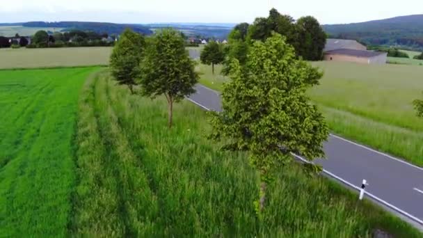 Letecká dron letu přes ulici v přírodě — Stock video