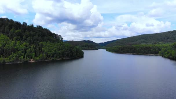 Lago romântico na floresta — Vídeo de Stock