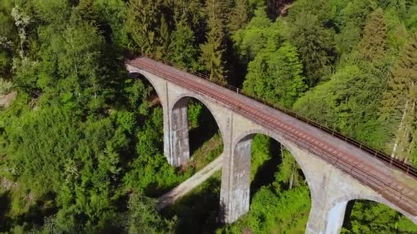 Залізничне сполучення в лісових пагорбах - вигляд з повітря на старий віадук — стокове відео