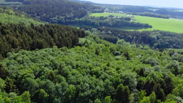 Latać nad głębokim lesie - zdjęcia lotnicze drone — Wideo stockowe