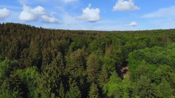 Vuelo sobre el bosque - hermosas colinas forestales — Vídeos de Stock