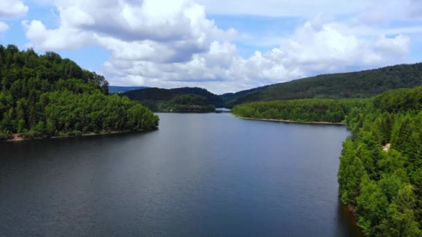 Wielkie jezioro w lesie - lot lotnicze drone — Wideo stockowe