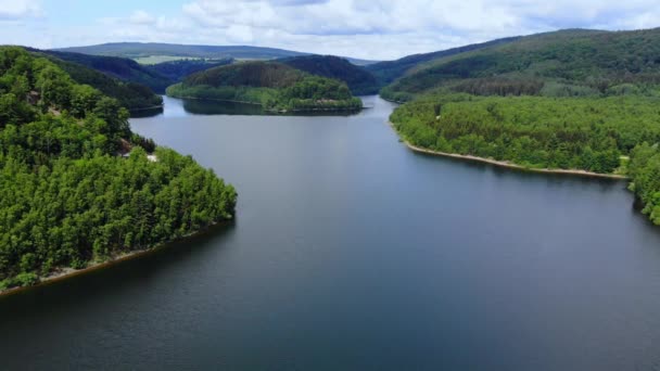 Ormanda - hava drone uçuş büyük göl — Stok video