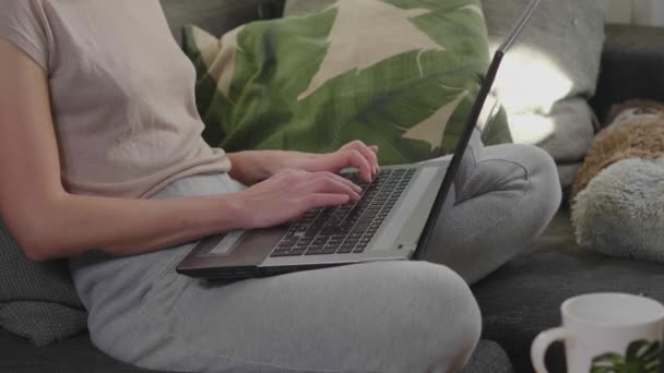 Mujer Joven Trabaja Oficina Casa Con Computadora Portátil — Vídeo de stock