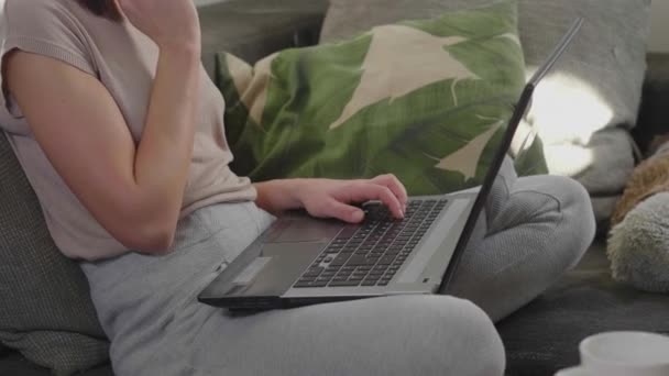 Ung Kvinna Arbetar Sitt Hemmakontor Med Sin Laptop — Stockvideo