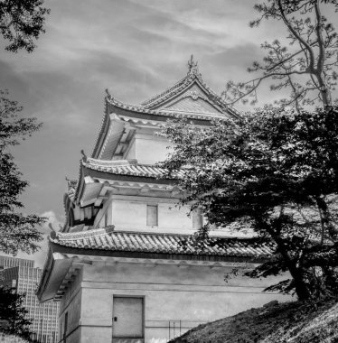 İmparatorluk Sarayı Doğu bahçeleri Tokyo - gezi fotoğrafçılığı