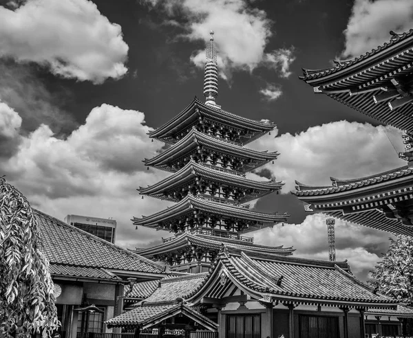 Magnifique Tour Pagode Temple Senso Tokyo Asakusa Photographie Voyage — Photo